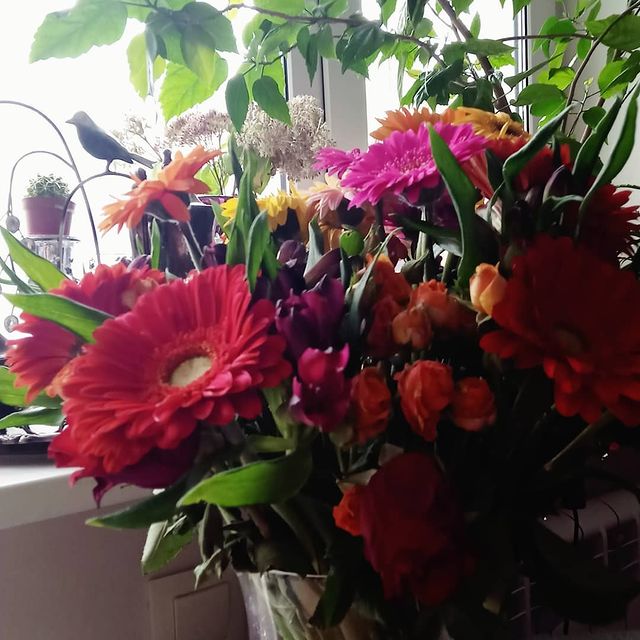 stopma6in в LOOKY. #своидевочкизнают,#8марта,#8марта💐. НАТЮРМОРТ "НАЙДИ КАК...