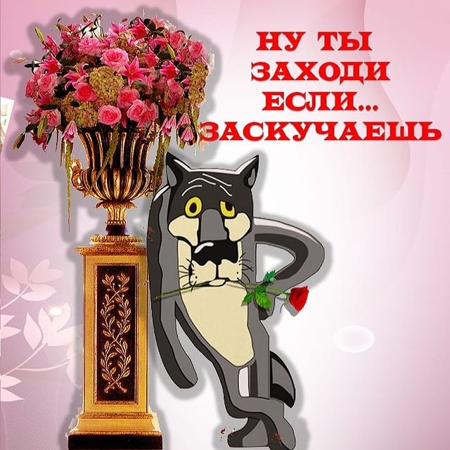 b0shetunmay в LOOKY. . null