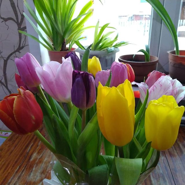 zhannamustakaeva в LOOKY. #8марта,#тюльпаны,#весна. #8марта #тюльпаны #в...