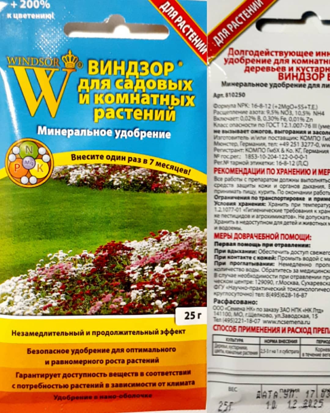 antsiferovbreed в LOOKY — фото 6