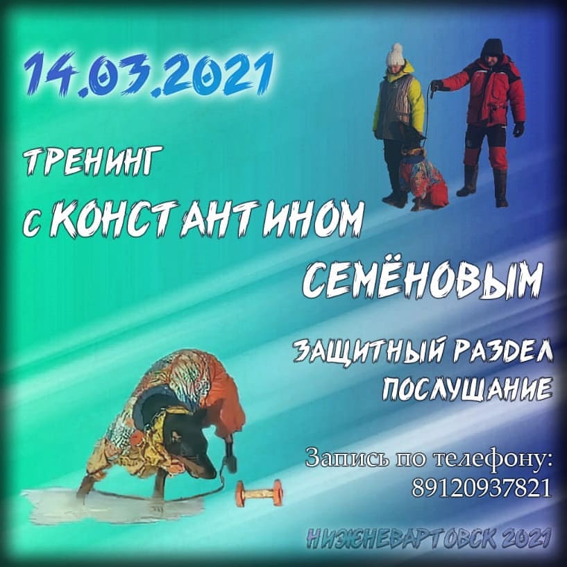dressirovka_nv in LOOKY. . После небольшого пер...