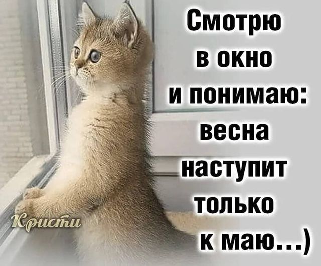 jana4vok в LOOKY. . ❄⛄весна идёт#веснедо...