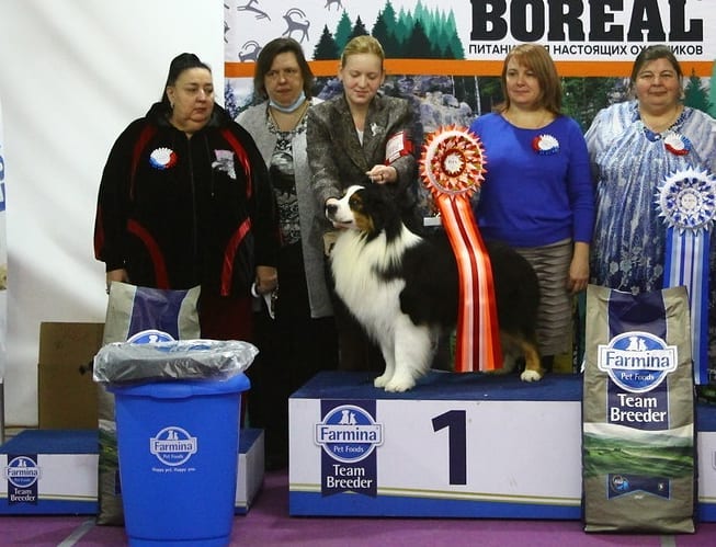 iz_doma_korolevoi_kennel в LOOKY — фото 4
