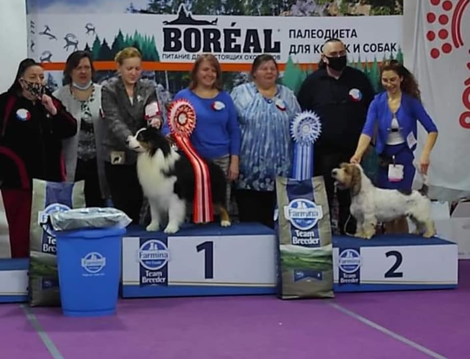 iz_doma_korolevoi_kennel в LOOKY — фото 3