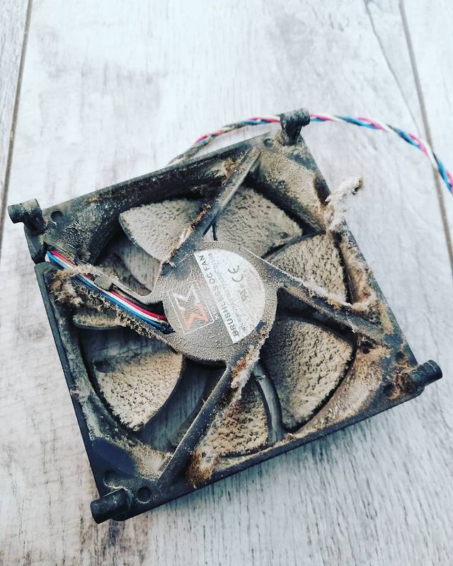 pkmasters_lagan в LOOKY. #пк,#лагань2021,#pkmassterslagan,#aliexpress,#жесть. Как часто вы чистите...