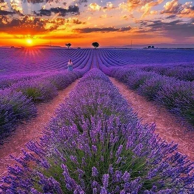 rufina_life5 в LOOKY. #крымскиеканикулы. Я открыла для себя К...