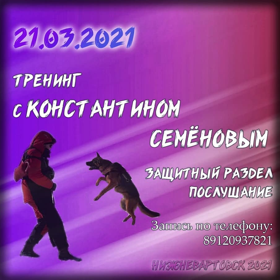 dressirovka_nv in LOOKY. . null