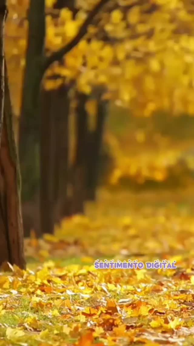 sentimento.digital в LOOKY. #frases,#mensagens,#instafrases,#amor,#meuamor,#disputa,#belasmensagens,#atenção,#frasesbonitas,#SentimentoDigital,#sentimentos. Eu poderia comprar u...