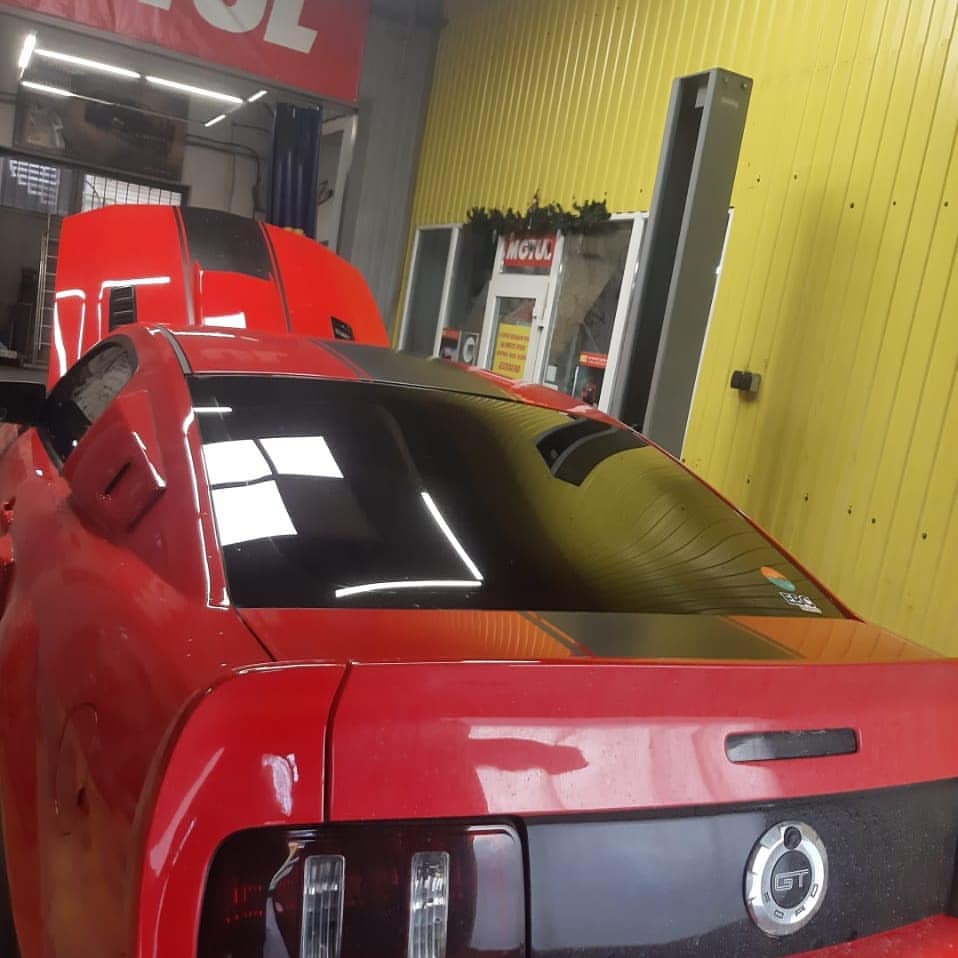 pipa.krm.krd в LOOKY — фото 3