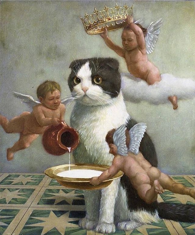 minimolbert в LOOKY. . Никогда еще котики н...