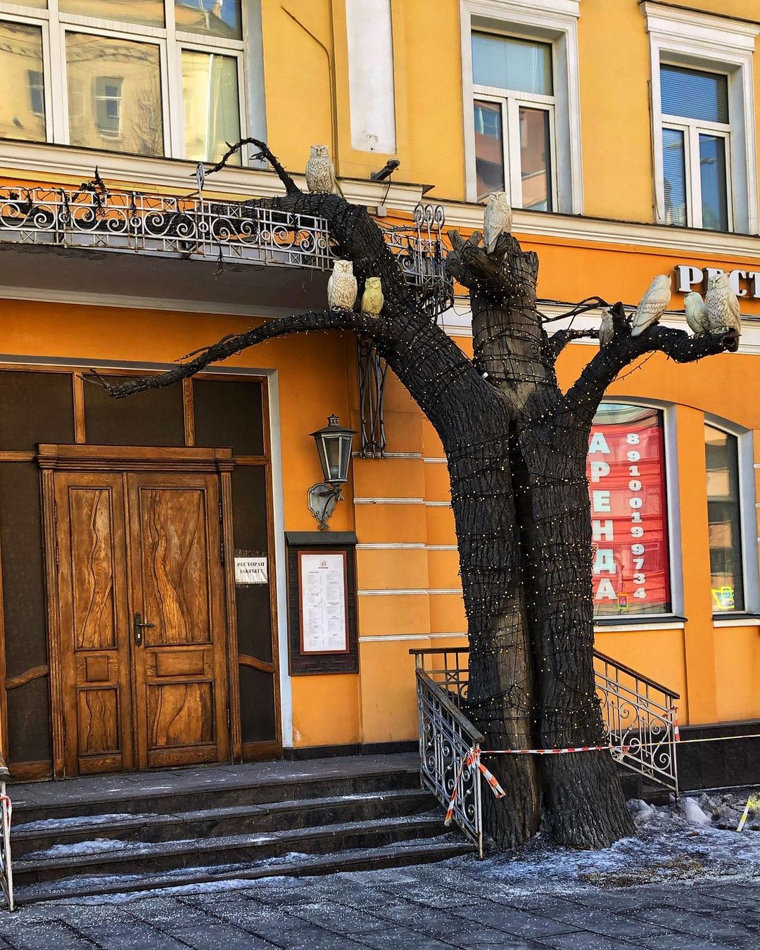 natalia_sivko в LOOKY — публикация
