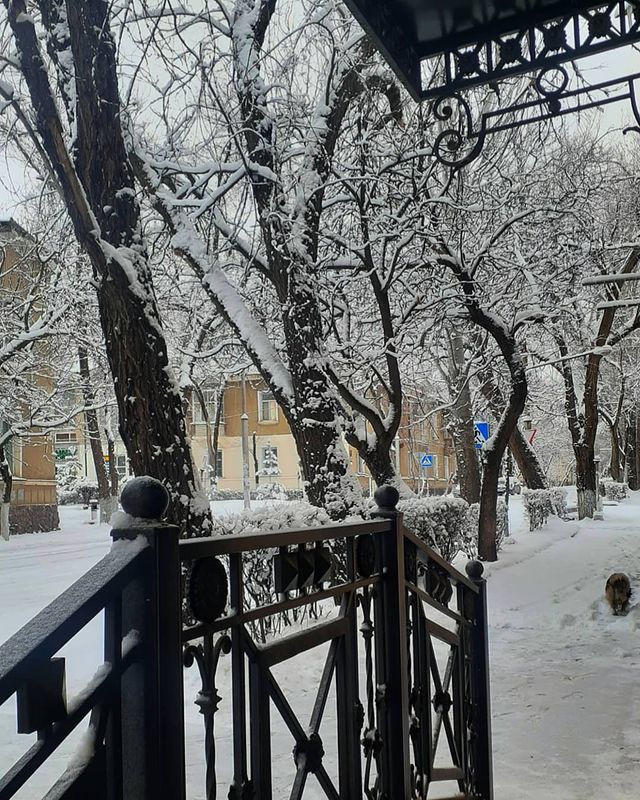awilaeva в LOOKY. . null