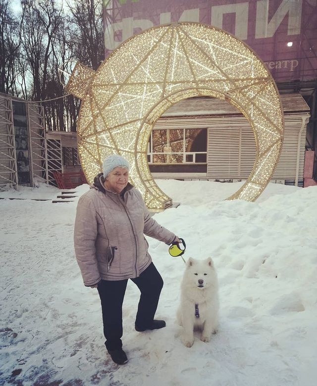 marina_tyrina54 в LOOKY. #самоед,#собака,#собакаулыбака. Хорошо в парке зимой...