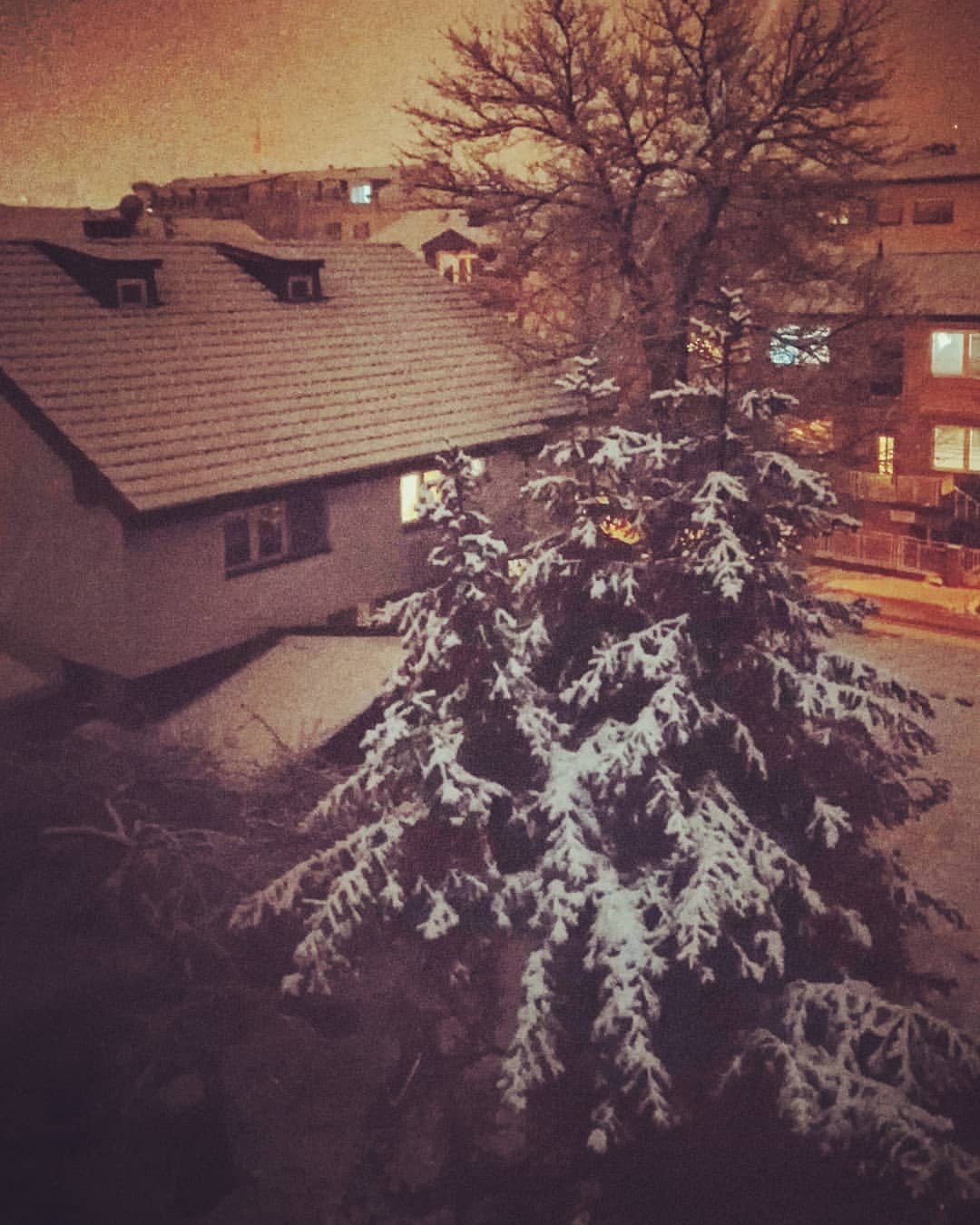 natalya.albertovna в LOOKY — Посты утратили свою актуальность, все сейчас в сторис тусуют