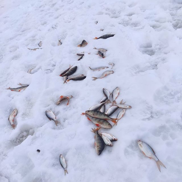 trifonovyura в LOOKY. . Погода была хорошая ...