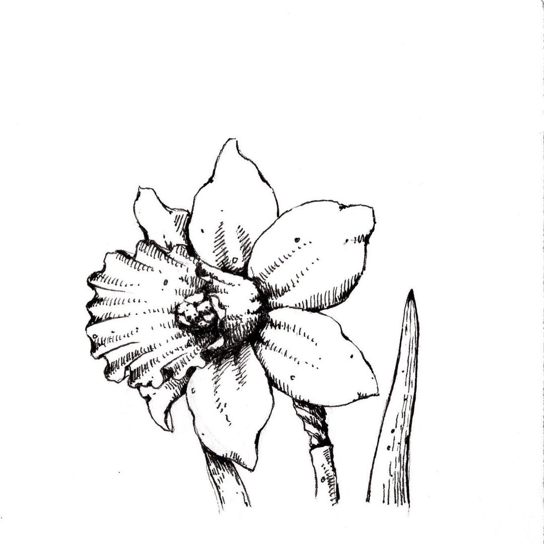 l_m_a_r_t в LOOKY — фото 5