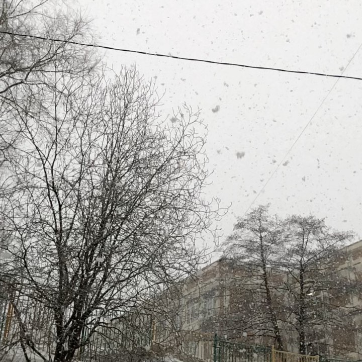 jul_fedortsova в LOOKY. . 22 марта❄️❄️❄️