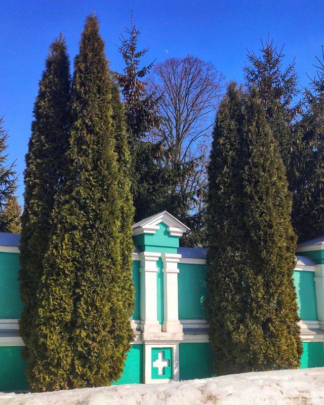dmitriytamboff в LOOKY. . null