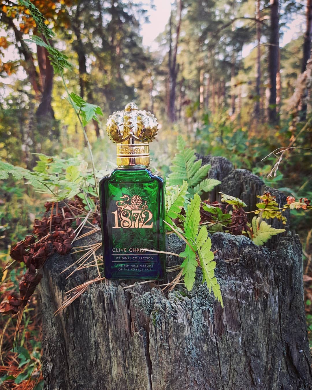 tsl_parfum в LOOKY — фото 2