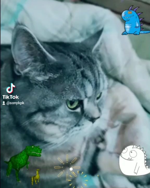 artur_khv в LOOKY. . Вот такая у меня ж-з...