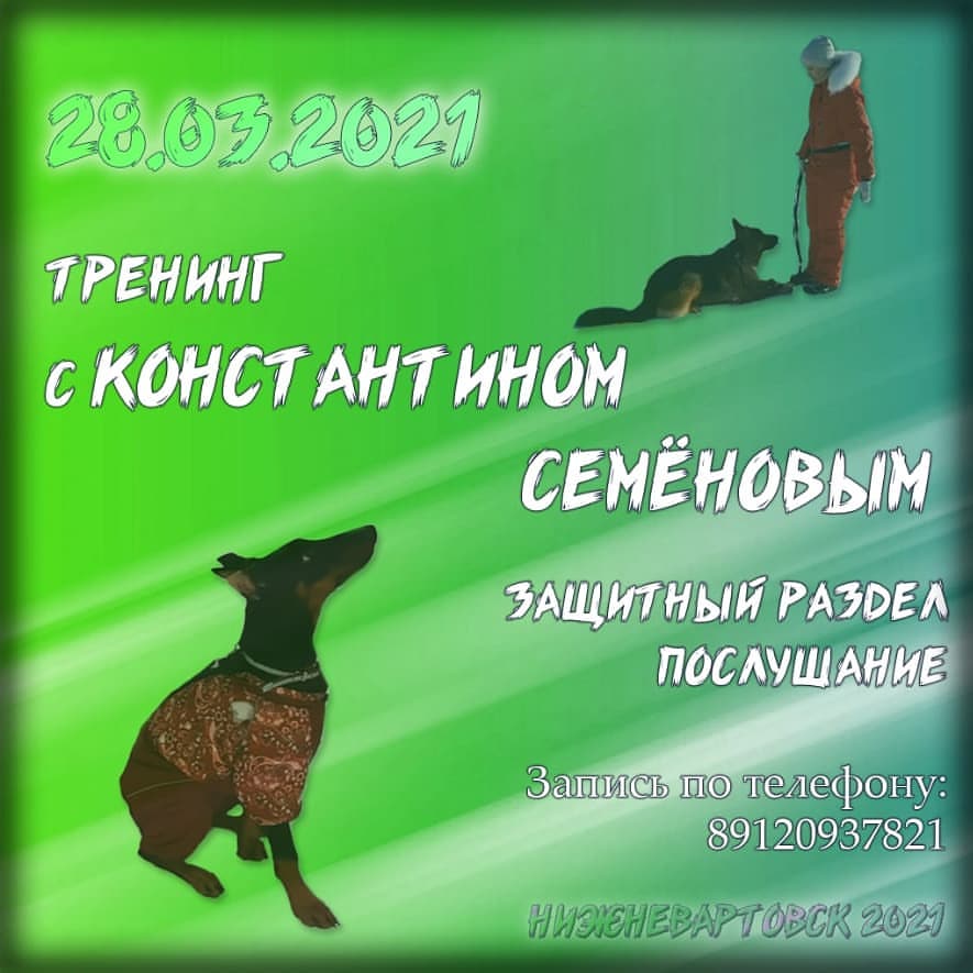 dressirovka_nv in LOOKY. . null