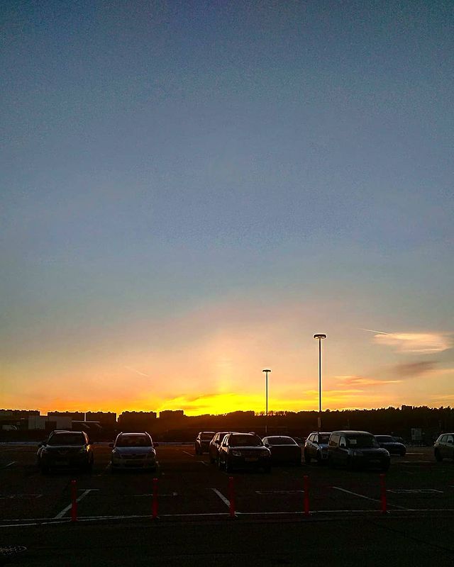 phoenix_sd1 в LOOKY. . null