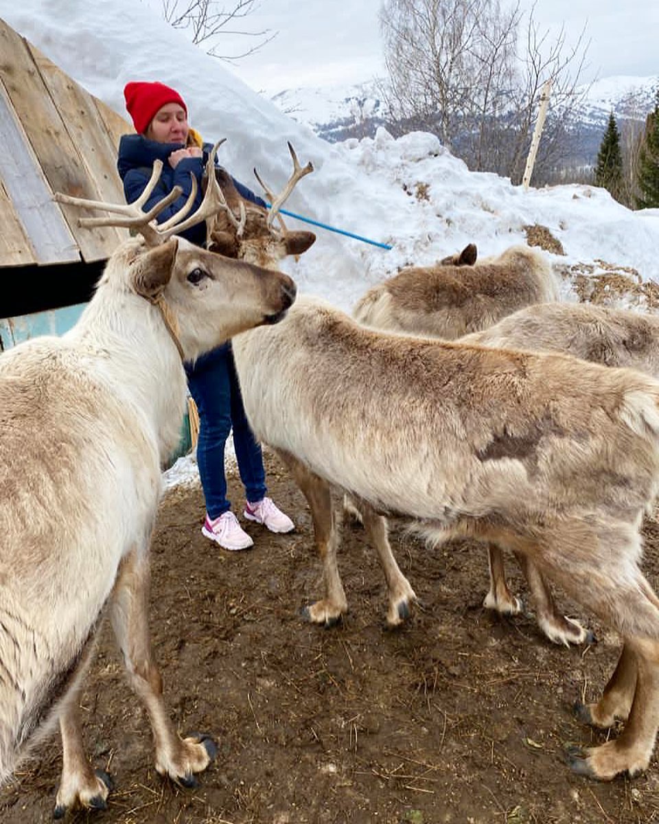 rezvayada в LOOKY — Тусуюсь с друзьями 🦌 @olenegesh #шерегеш
