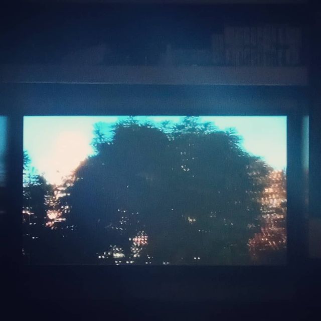 akimova_anastasia55 в LOOKY. #romanticweekend❤️. Вечер с Фредди👺
#ro...