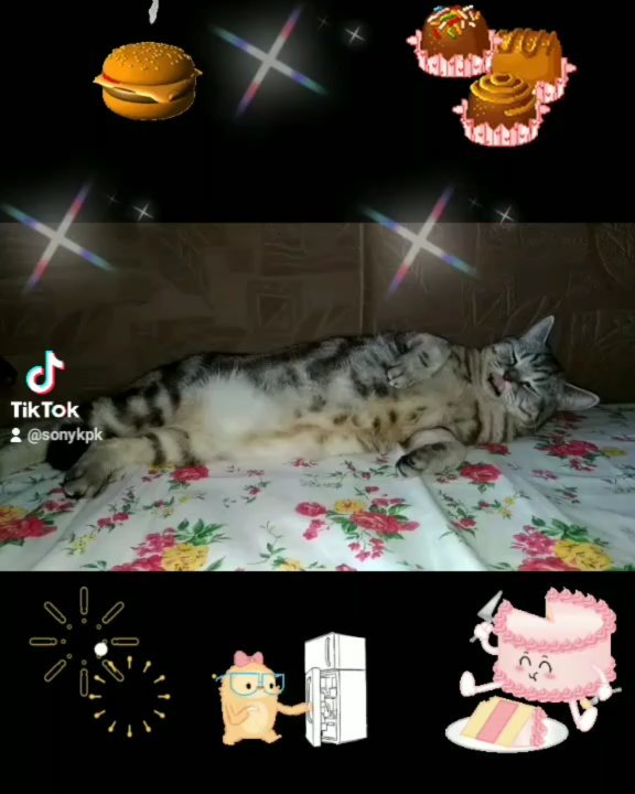 artur_khv в LOOKY. . Эх, жизнь такая жизн...