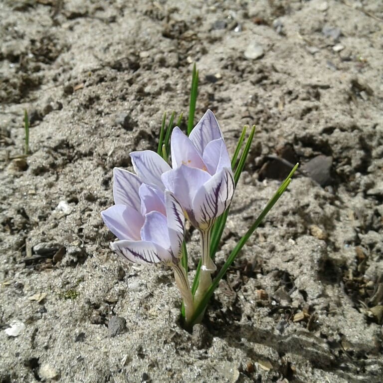 numerologist108 в LOOKY — фото 8