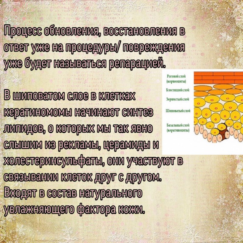 kosmetolog_chel_zharkih в LOOKY — фото 5
