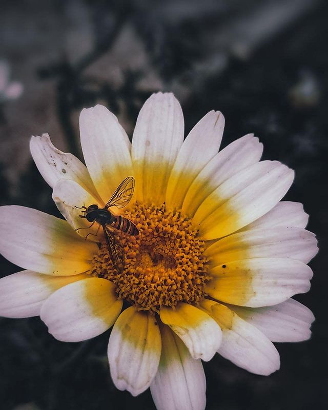rishad.khan.photography в LOOKY. #photographylovers,#photographysouls,#photographyeveryday,#photographyislife,#photographylover,#photographyislifee,#photographylife,#photographyart,#photographyoftheday,#photographyy,#photographylove,#photographyaddict,#photographyskills,#photographybook,#photographyprops. ⏩⏩ follow @rishadkha...