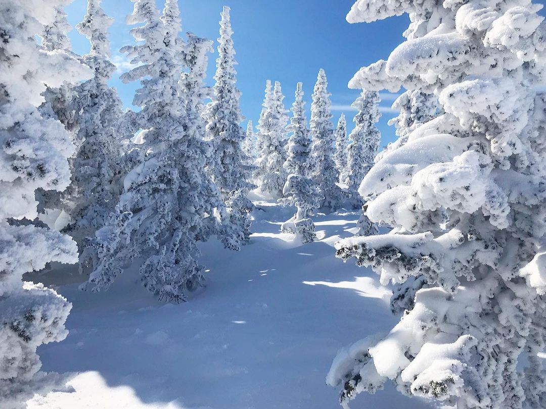 rezvayada в LOOKY — Братец апрель, приветики ❄️☀️ #шерегеш #первоеапреля