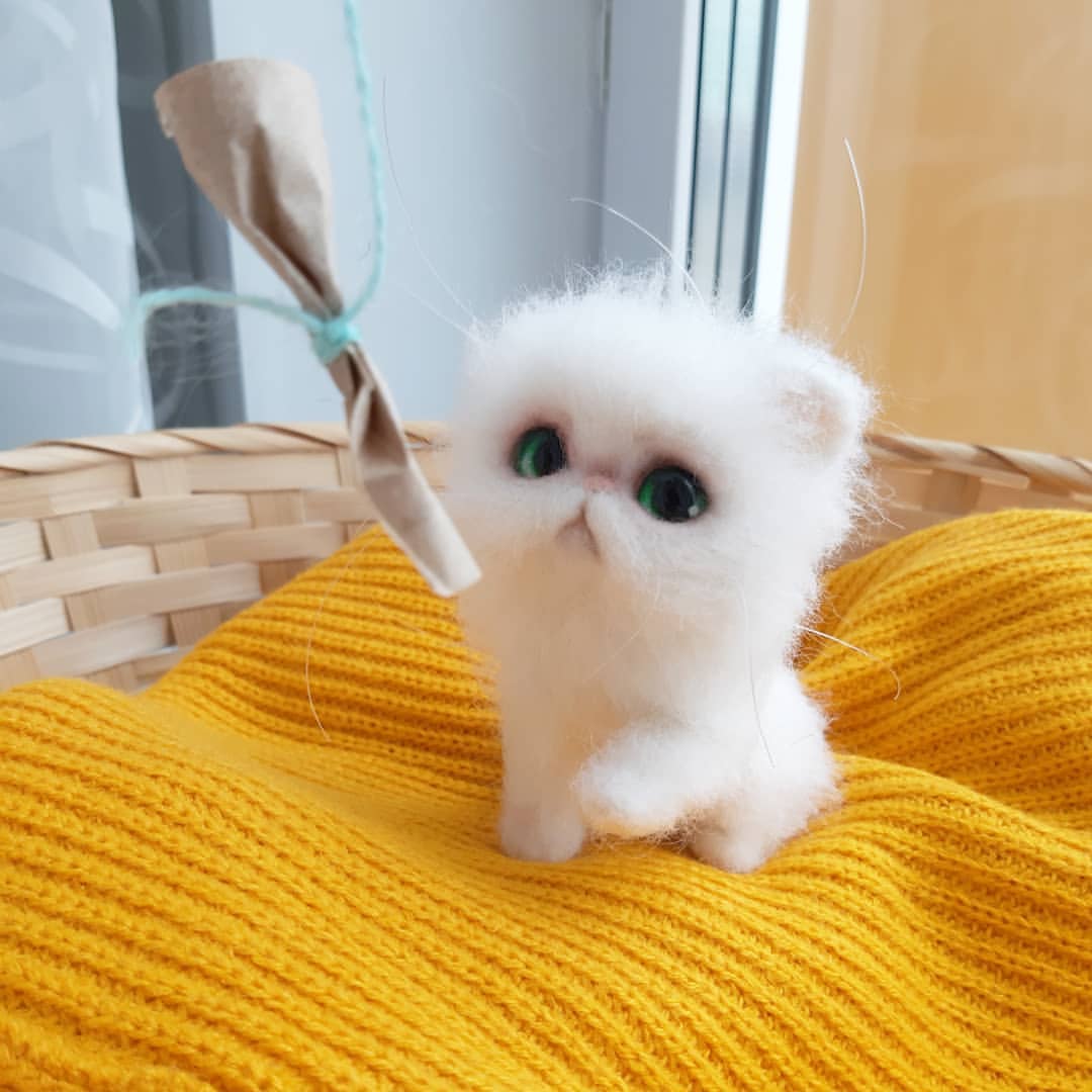 kovkafreedom в LOOKY — фото 4