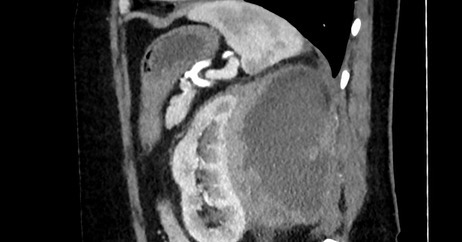 russianradiology в LOOKY — фото 2