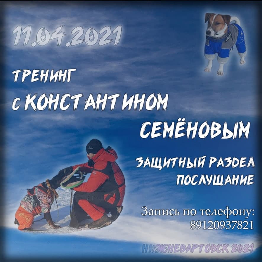 dressirovka_nv in LOOKY. . null