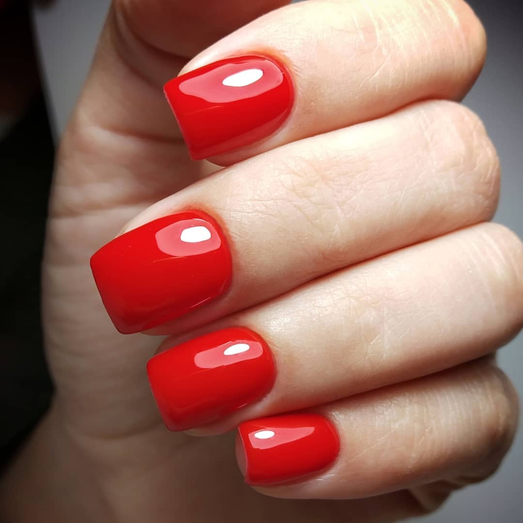 nail.taganrog.nina в LOOKY — #ногтитаганрог#гельлактаганрог#маникюртаганрог#укреплениеног