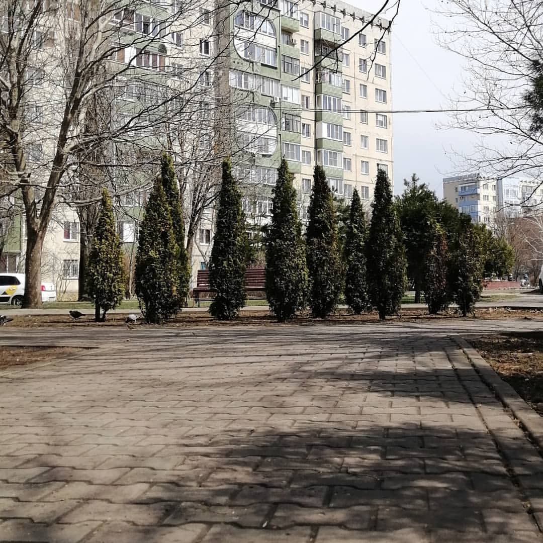 our_ordinary_world в LOOKY. #весна,#тепло,#прогулка,#солнце,#небо. Весна, весна! Как во...