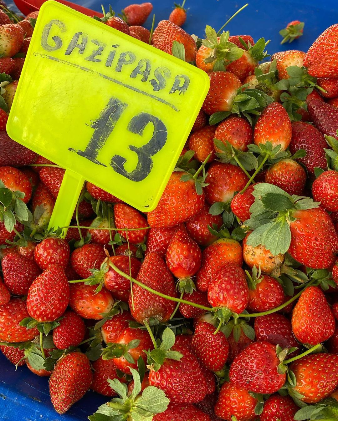 dinarhic in LOOKY. #турцияалания,#переездвтурцию,#продуктытурция. Продукты и цены в Ту...