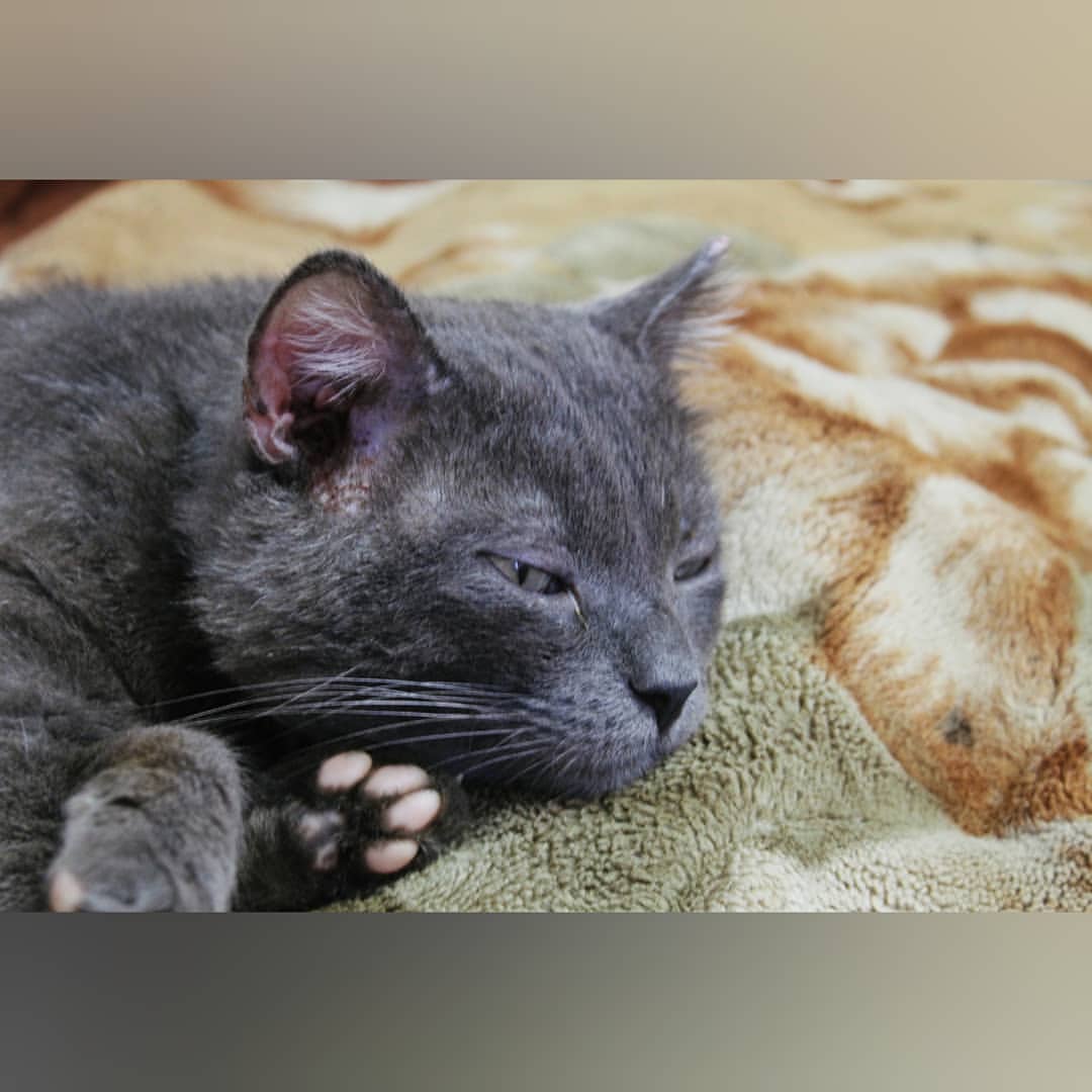 masha_kononenko_ в LOOKY — фото 5