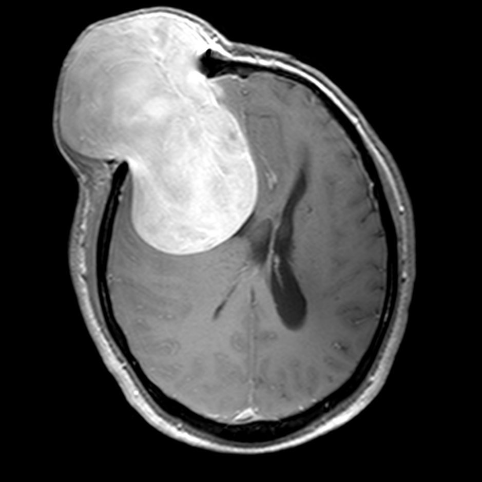 russianradiology в LOOKY — фото 7