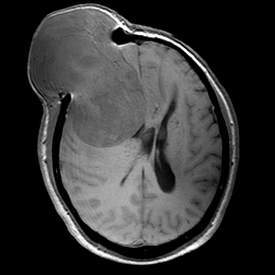 russianradiology в LOOKY — фото 3