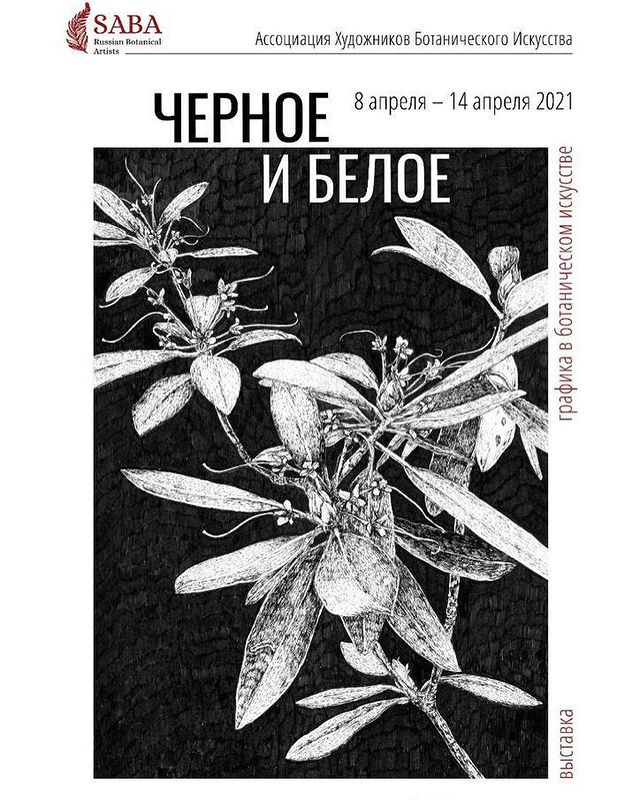 mariayarmish_botanicalart в LOOKY. . На открытии выставки...