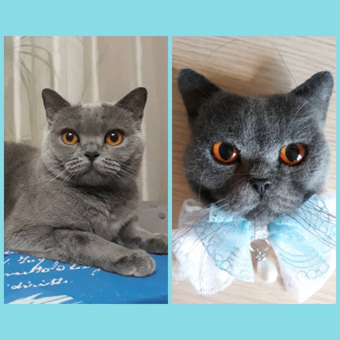 cat_musia_star_and_sima в LOOKY — фото 8