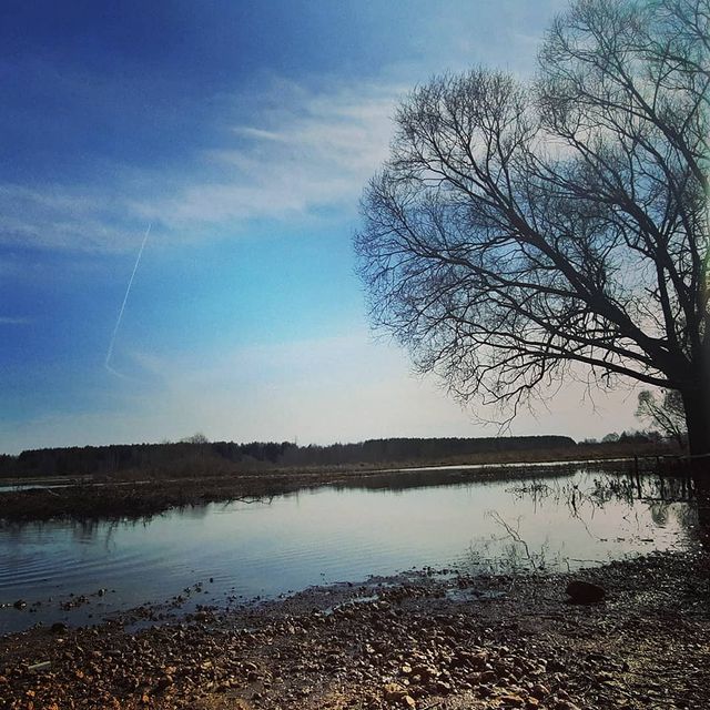 asya_tsaritsina в LOOKY. #Теша#природа#покатушки#нижегородскаяобласть. Открыли велосезон 🚴...