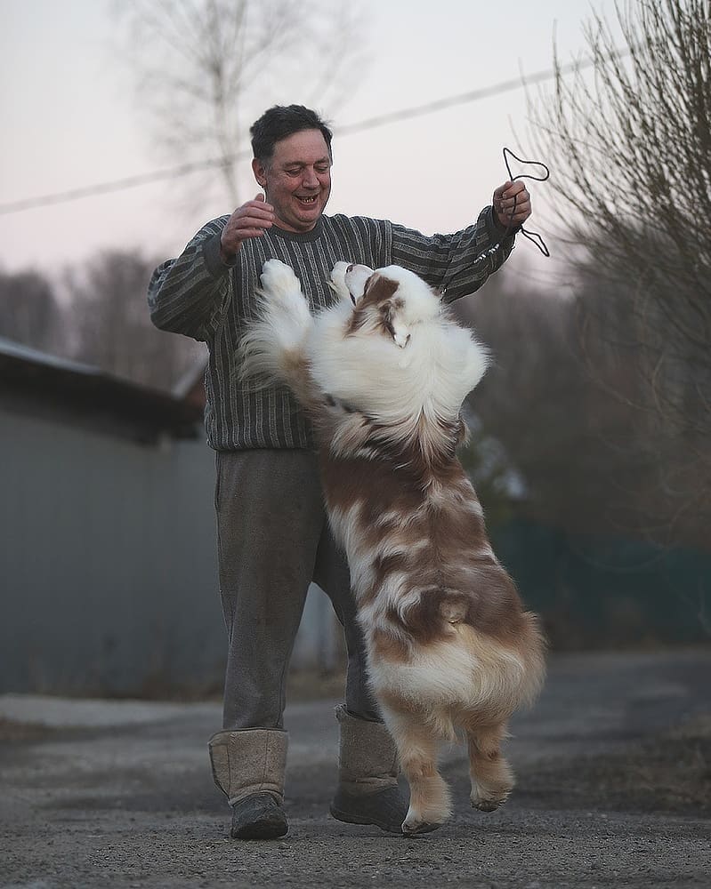 iz_doma_korolevoi_kennel в LOOKY — фото 7
