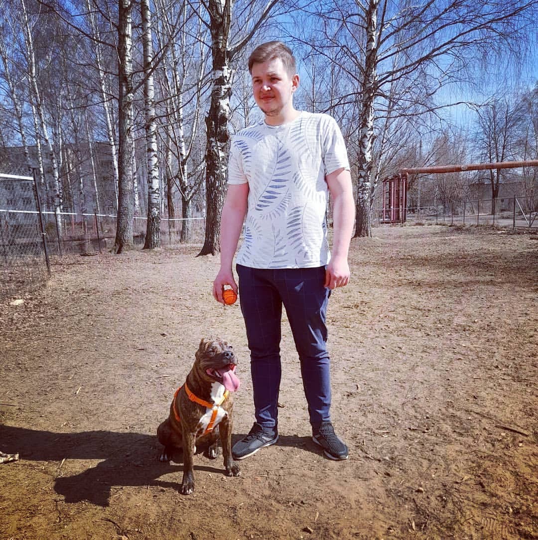 amstaff.beyli в LOOKY — #Стафф #бэйли #собакаулыбака