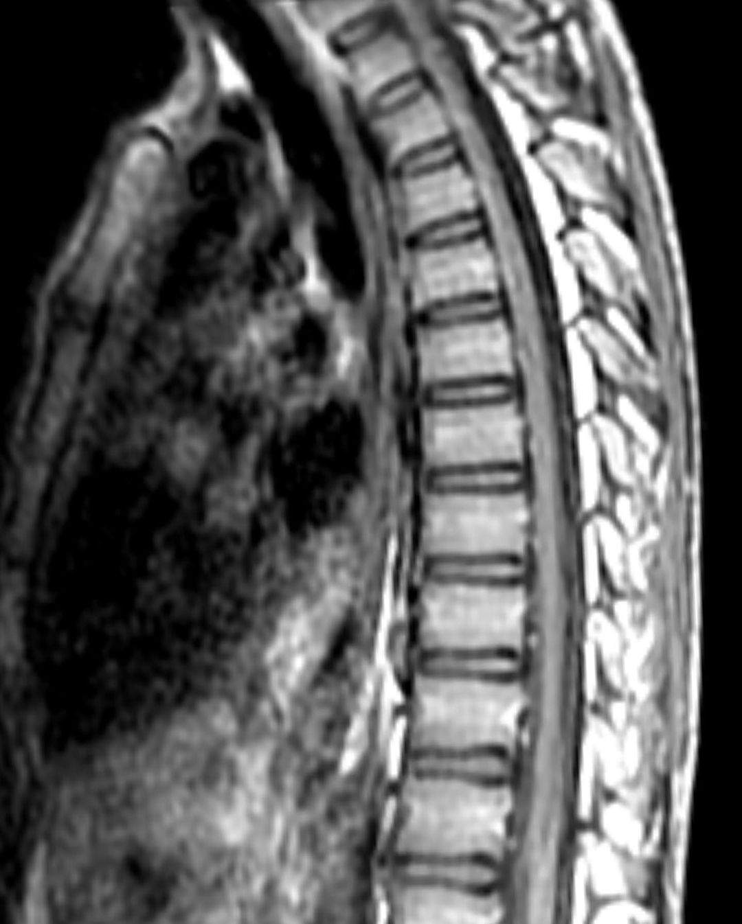 russianradiology в LOOKY — фото 6
