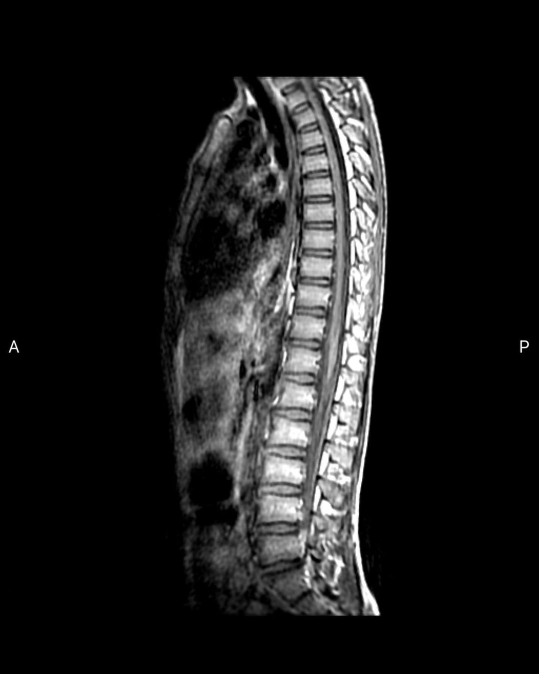 russianradiology в LOOKY — фото 5
