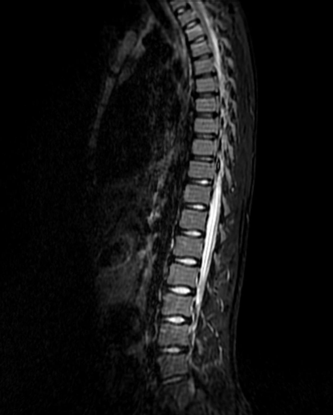 russianradiology в LOOKY — фото 3